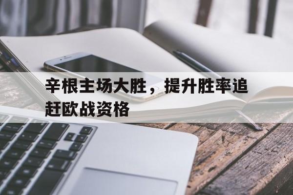 辛根主场大胜，提升胜率追赶欧战资格的简单介绍